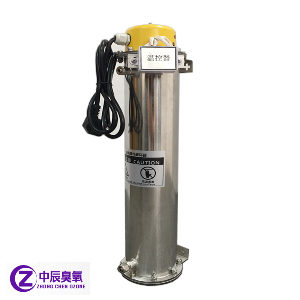 經(jīng)典款臭氧毀滅器、臭氧尾氣處理器